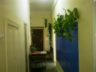 ����� ���� ������ ������ (���� �3)