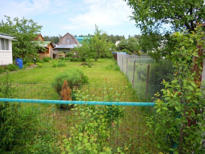 ����� ���� � ����������� ��� ����������� (���� �3)