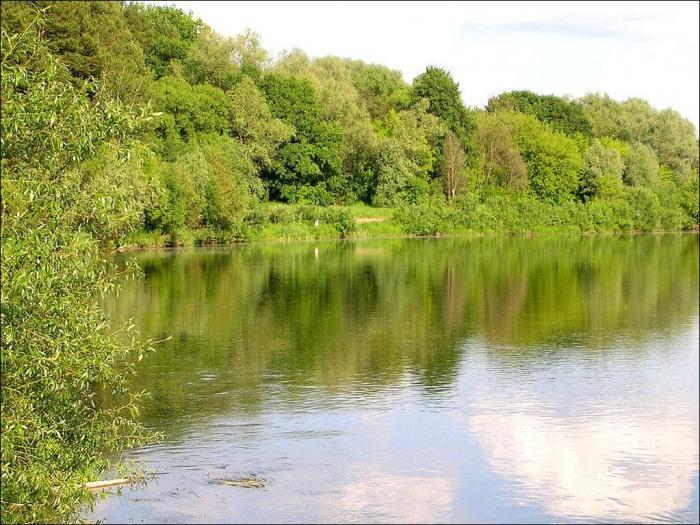 ����� ���� � ����������� ��� ����������� (���� �5)