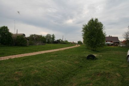      ( 3)