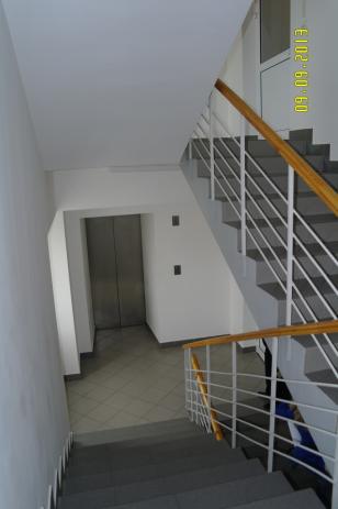 ����� ���� � ��� ������ (���� �5)