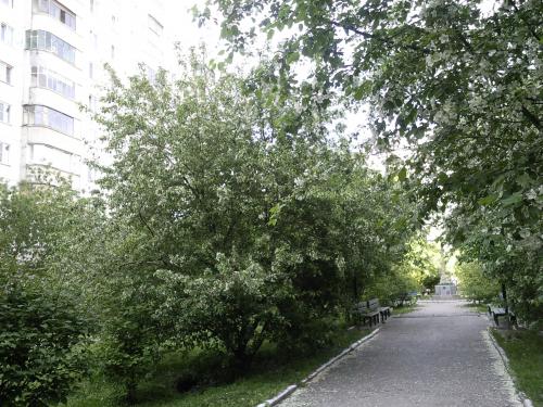 ������ 3 �������� � ������������ (���� �13)