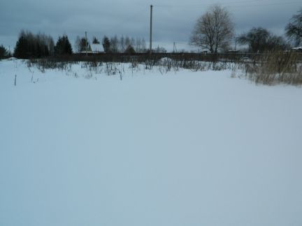      ( 2)