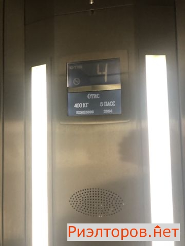      ( 3)