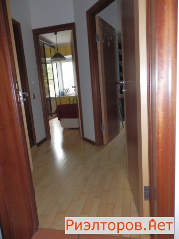 ������ �������� ����� ������� �������� (���� �13)