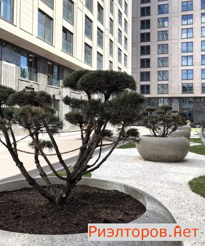 ����� �������� � �� �� ���� ������ (���� �17)