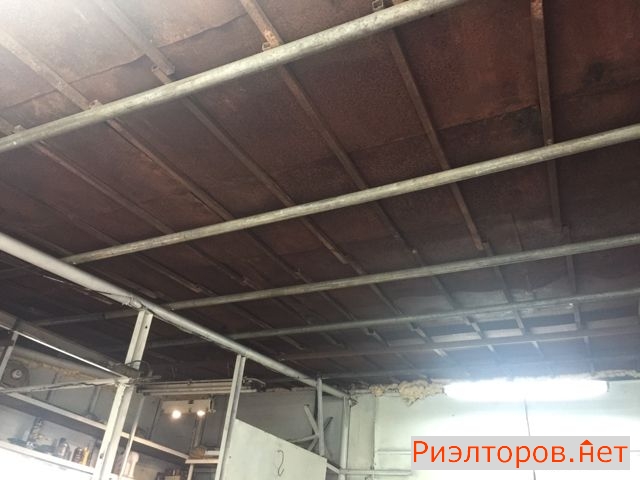 ������ ����� ����� �������� ���� (���� �6)