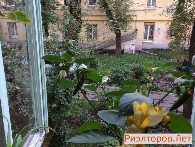 ����� ������� ��������� 3-� ��������-������ �� 7 (���� �3)