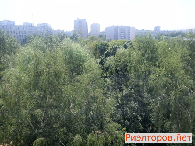 ����� �������� ��������� �� 6 (���� �6)