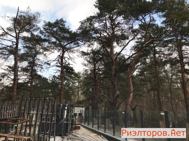 ����� �������� ���������� ����� ��21 (���� �15)