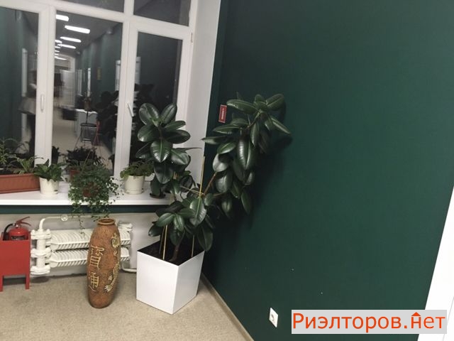 ����� �������� ������ ����� ���� ������������� �������� 23 (���� �17)