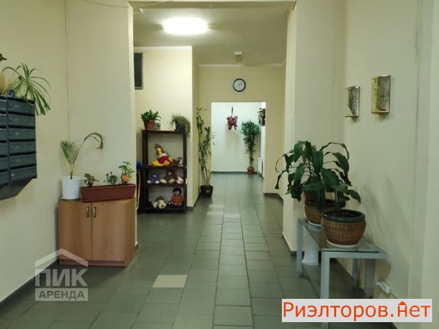 ����� �������� � �� �������� (���� �15)