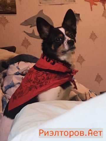 ����� ������� ������������ �-� 63 12�2 (���� �4)