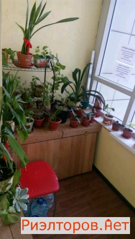 ����� ������� ��������� �� 27�1 (���� �14)