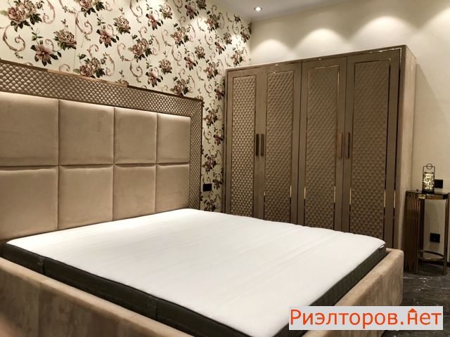 �� vander park ������ ���� (���� �2)