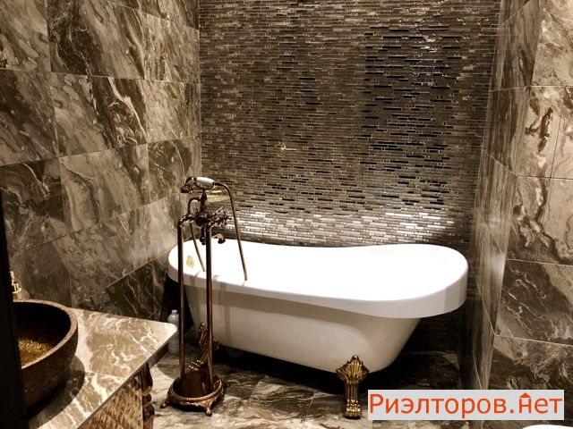 �� vander park ������ ���� (���� �5)