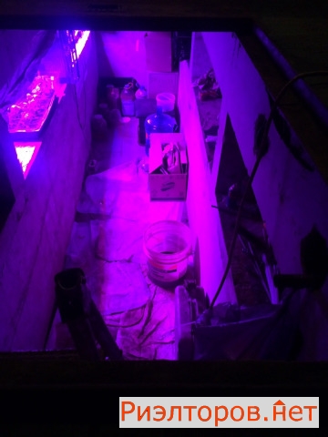 ������ ����������� ����� �� �������� 21 (���� �2)