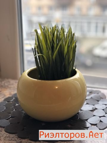 ����� �������� ��������� ������� ���������� ����� 62 (���� �12)