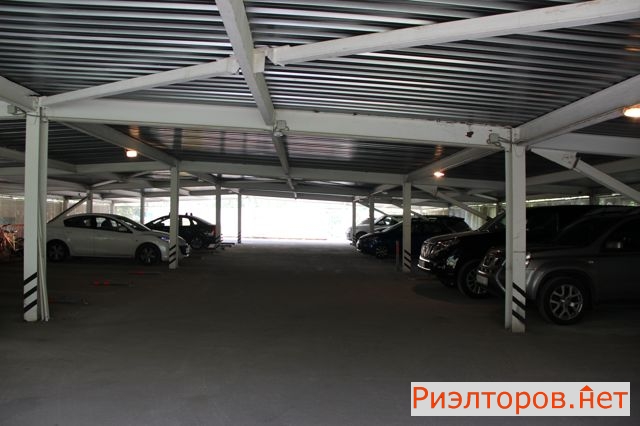 ������ ����������� ����� ������� ������ ��31�1 (���� �8)