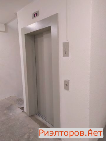    ( 3)