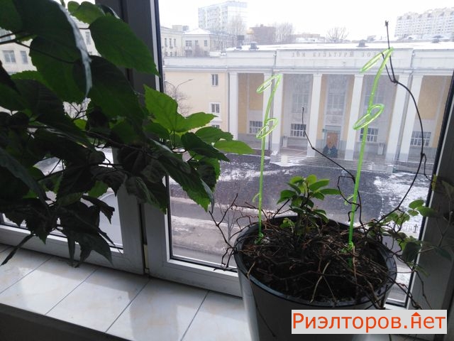 ����� �������� ������������ ����� 24 (���� �10)