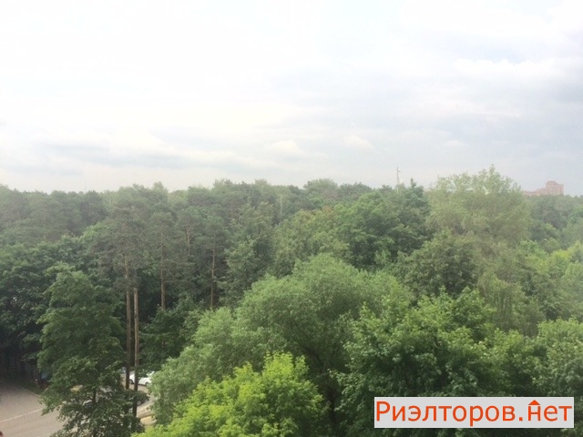 ����� �� ������ (���� �5)