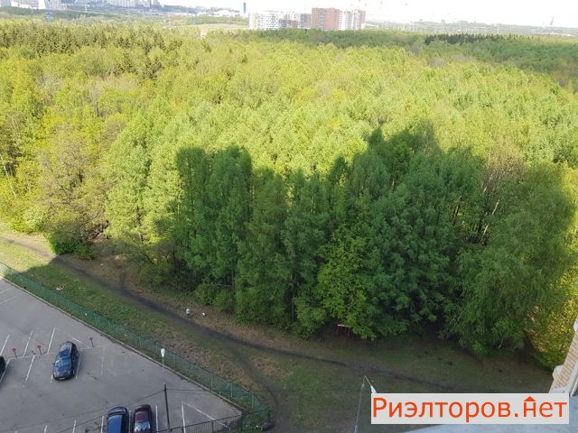 ����� �������� ����� ����� 1�8 (���� �17)