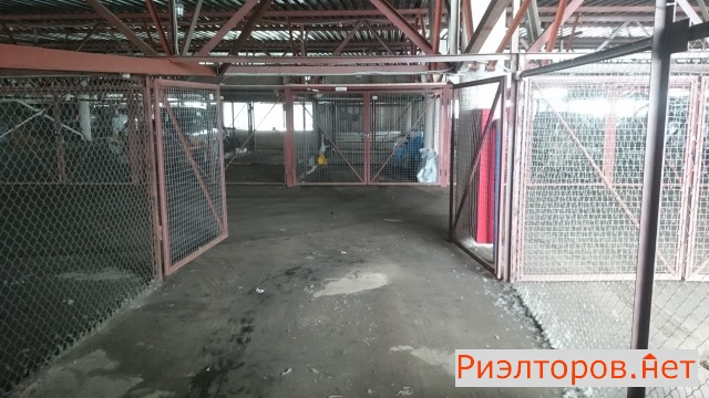 ������ ����������� ����� � ��� ������ �. �������� (���� �4)