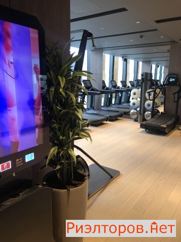 �� neva towers ����������� (���� �14)