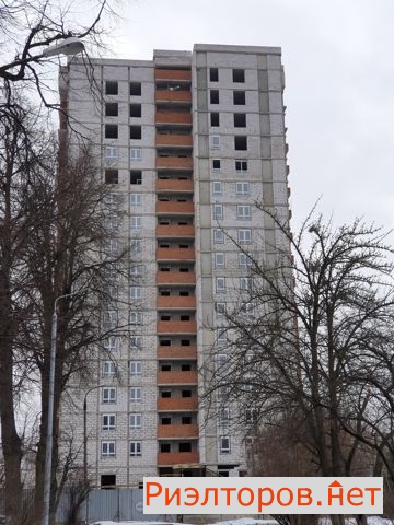      ( 2)
