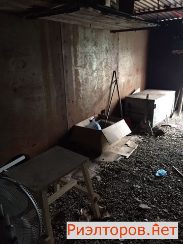 ����� ������ ���� ������ ����� (���� �3)