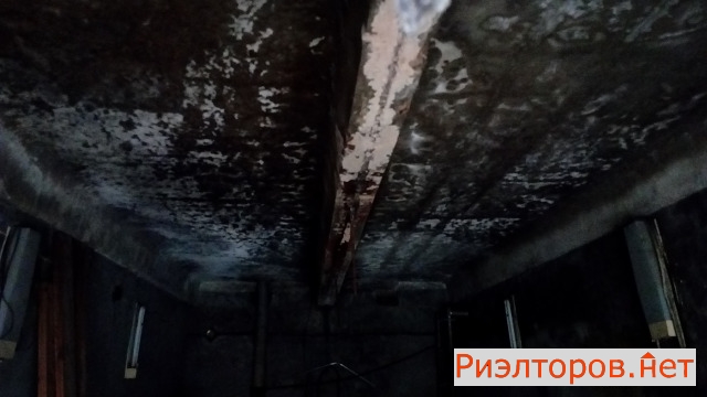 ������ ����� �������� ����� 4�1 (���� �6)