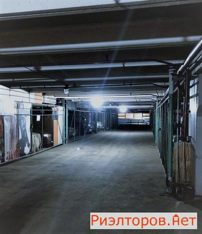 ������ ����� ����� ���������� 5 (���� �2)