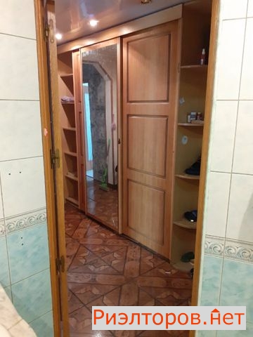     281 ( 13)
