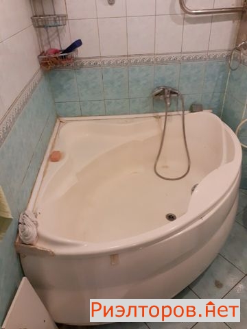     281 ( 15)