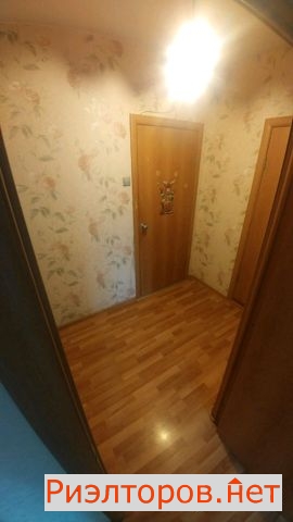 ����� �������� ����� �������� �������� 38 (���� �13)