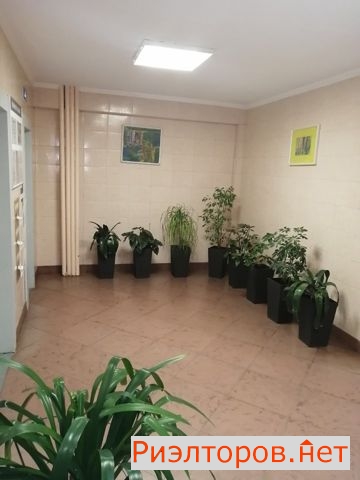 ������ �������� ����������� �������� �������� (���� �3)