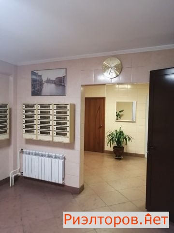 ������ �������� ����������� �������� �������� (���� �5)