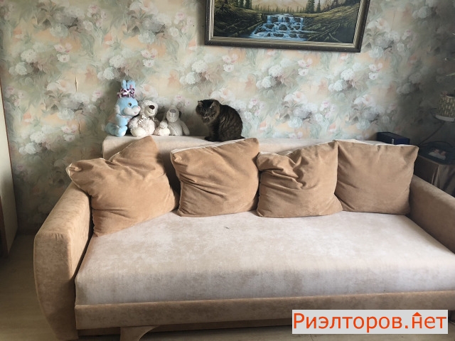 ������ �������� ����� ���������� 39 (���� �11)