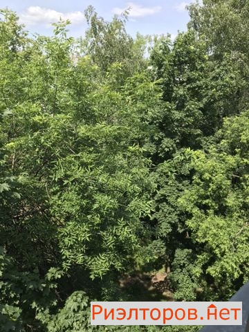     221 ( 9)