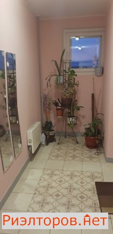 ����� �������� ����� ��������� ������� 3 (���� �26)