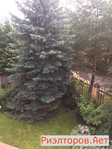 ����� ������� ����� ��������� ����� 36 (���� �17)