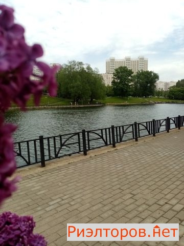 ������ �������� ����������� ����� 19 (���� �2)