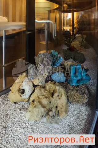 ����� �������� 4-� ��������-������ ����� 22 (���� �4)