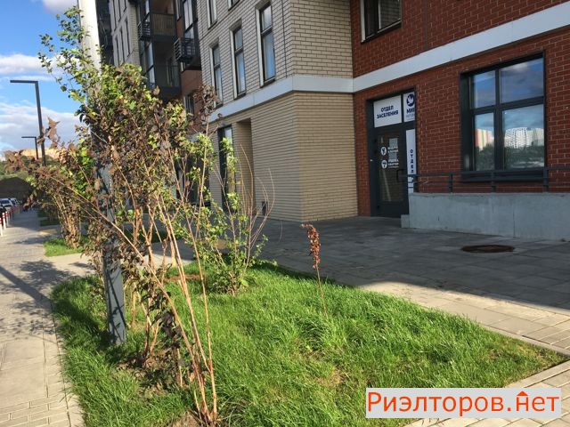 ������ �������� ��������� ����� 42�1 (���� �10)