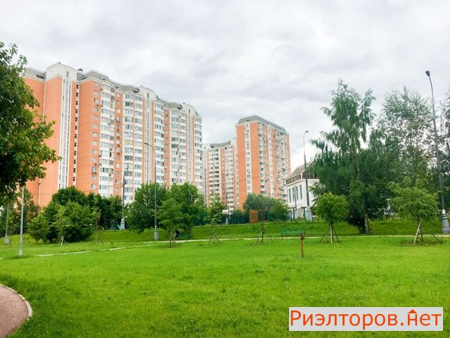     201 ( 11)