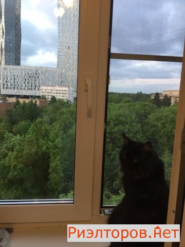 ������ �������� �������������� ����� 24 (���� �5)