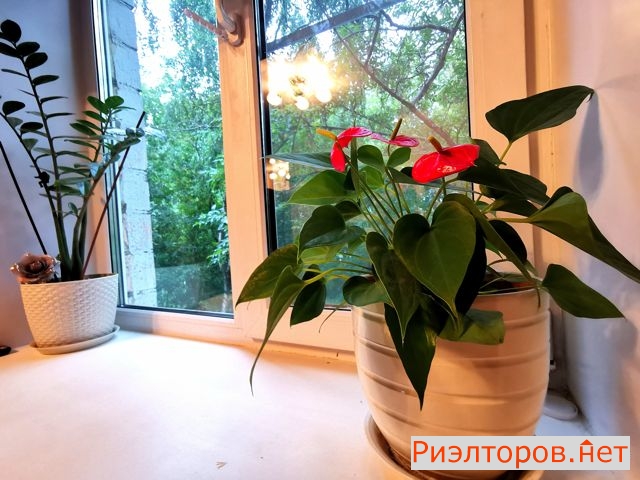 ������ �������� ����������� ����� 43�� (���� �10)