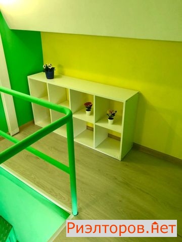 ����� �������� ��������� ����������� ����� 81 (���� �10)