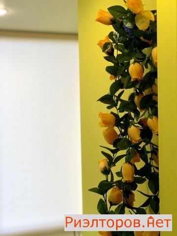 ����� �������� ��������� ����������� ����� 81 (���� �13)